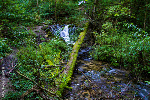 Obraz na płótnie Small waterfall in the woods w salonie