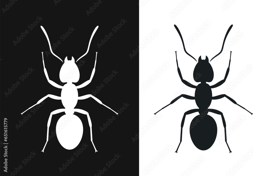 Ant silhouette. Isolated ants on white background Stock Vector | Adobe ...