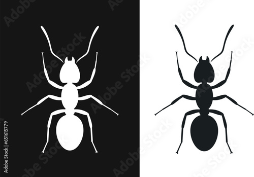 Ant silhouette. Isolated ants on white background