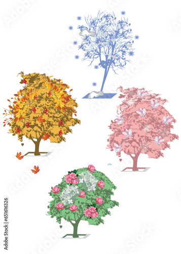 Four seasons: trees in winter, spring, summer, autumn. Hand drawn vector illustration.