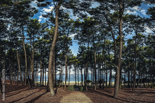 Plage Pereire Arcachon photo