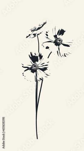 Floral arrangement of Lanceleaf Coreopsis flowers in grunge style. Black silhouette of plant on light background  vintage style. Plant with ink print effect.