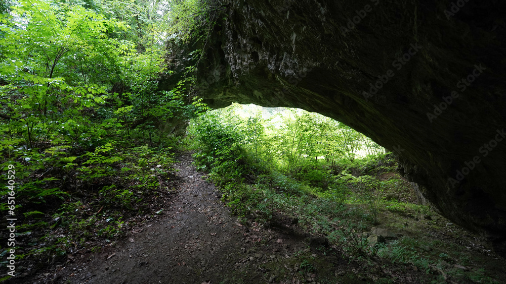 Željnske jame cave in a misty forest in Kočevski Rog, Slovenia.