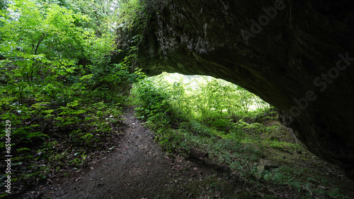 Željnske jame cave in a misty forest in Kočevski Rog, Slovenia.
