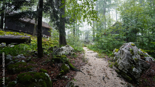 Baza 20 musuem in a misty forest in Kočevski Rog, Slovenia. photo