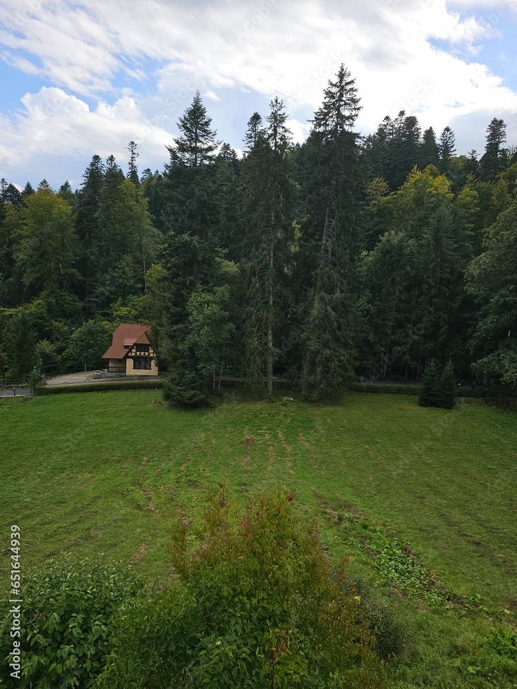 A house in a wooded area A house in a wooded area