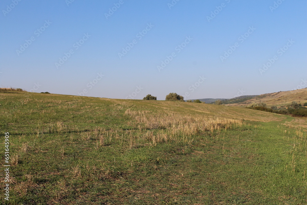 Obraz premium A grassy field with a blue sky
