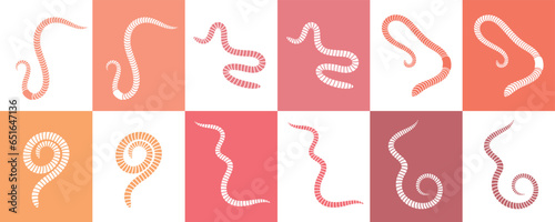 Earthworm logo. Isolated earthworm on white background