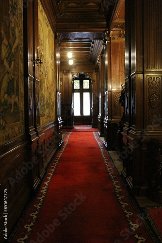 A hallway with a red carpet