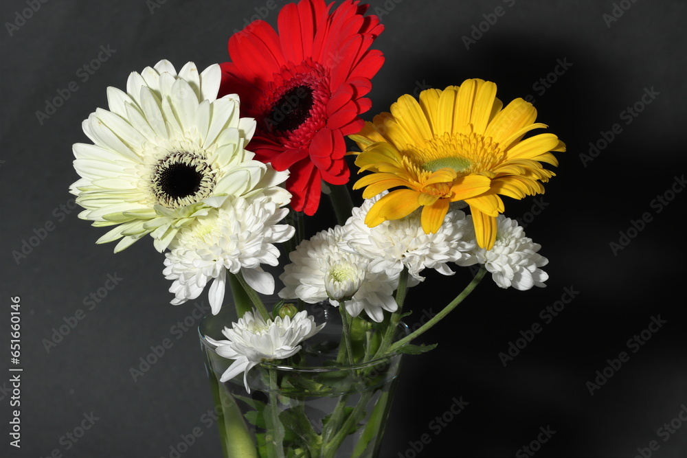 Bouquet of colorful gerbera flowers standing with dark background