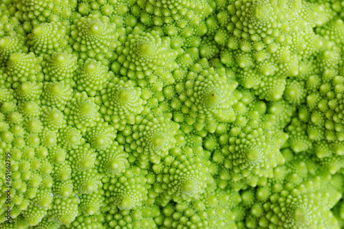 Green romanesco cauliflower close-up photo