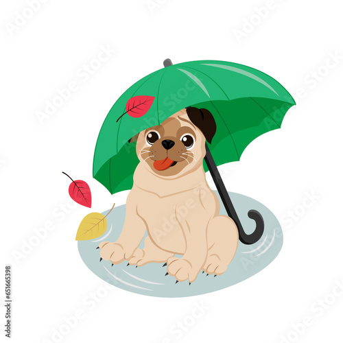 funny puppy sitting in a puddle under an umbrella
