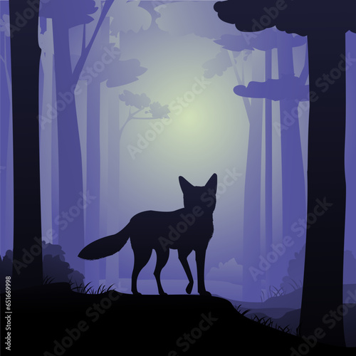 Fuchs im Wald © Li-Bro