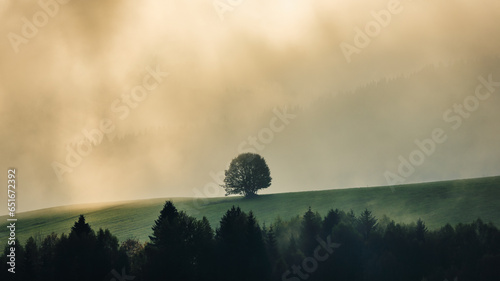 Lonely tree in autumn misty mountainous landscape with morning sun rays shining through the clouds. The Orava region of Slovakia, Europe.