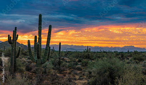 Panoramic Desert Sunrise Landscape In Scottsdale Arizona