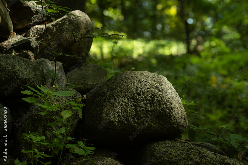 Zbliżenie na kamień w lesie oświetlony przez słonce. - obrazy, fototapety, plakaty 