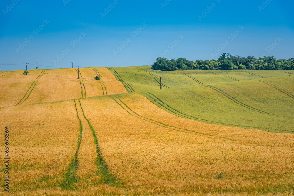 Tractor tracks cutting through a field. Tractor wheel track running through field landscape, The Czech republic. 