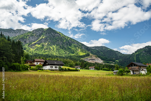 Mountain panorama with pastoral houses