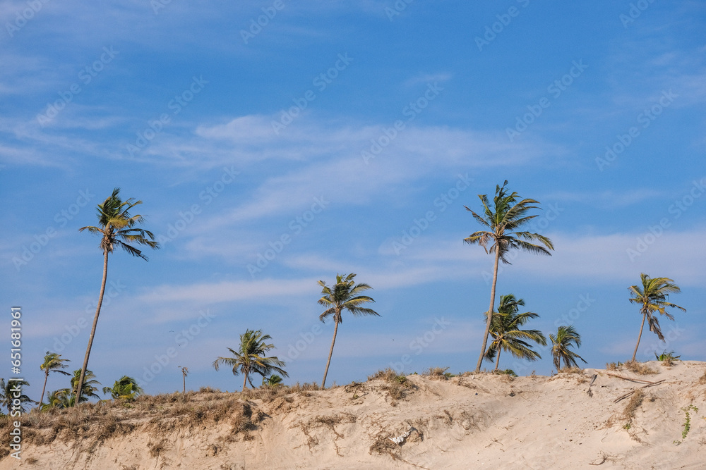 Fototapeta premium Goa in Summer