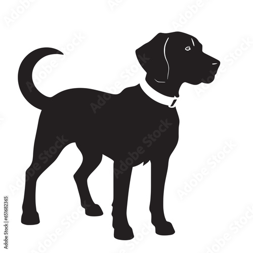 Illustration of a fierce black and white fighting dog, possibly a pit bull, Staffordshire, or mastiff, captured in monochrome	
