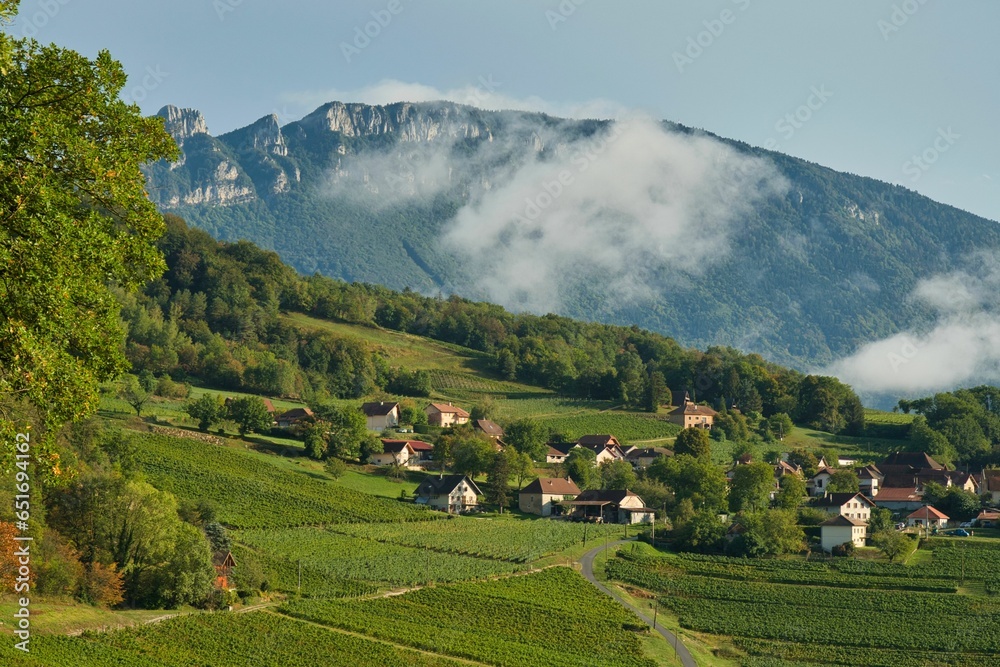 Landschaft bei Jongieux in Savoie in Frankreich - obrazy, fototapety, plakaty 