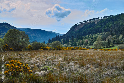 Autumn in the Wicklow mountains