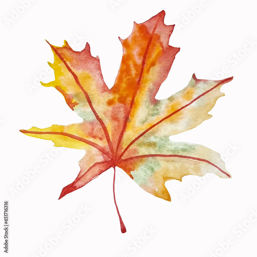 Watercolor maple autumn leaf hand drawn isolated clipart
