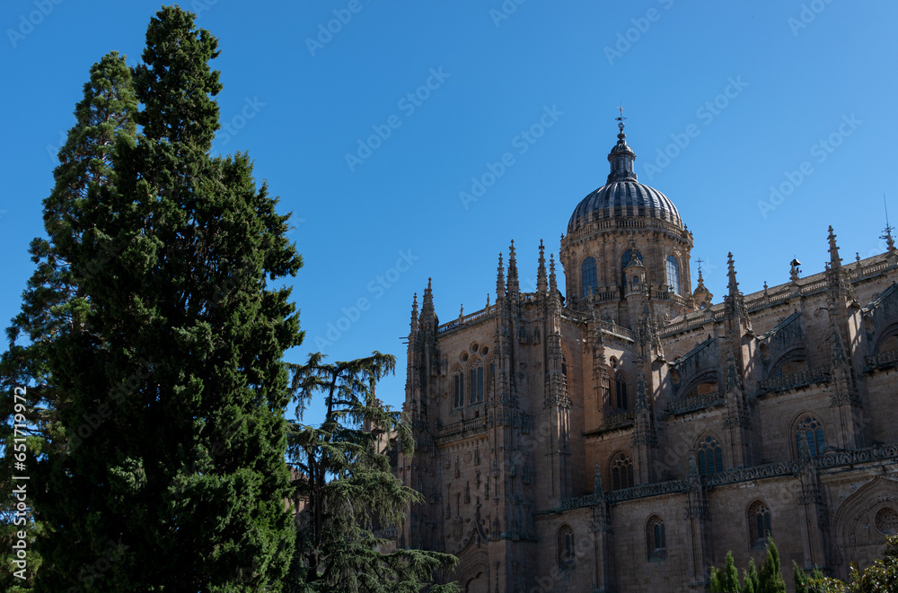 View of the facade of a cathedral during the day