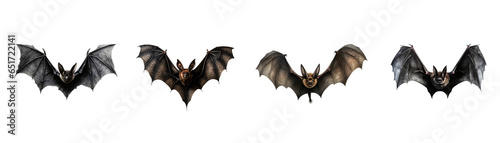 collection spooky scary halloween Bat in flight Wing flap.
