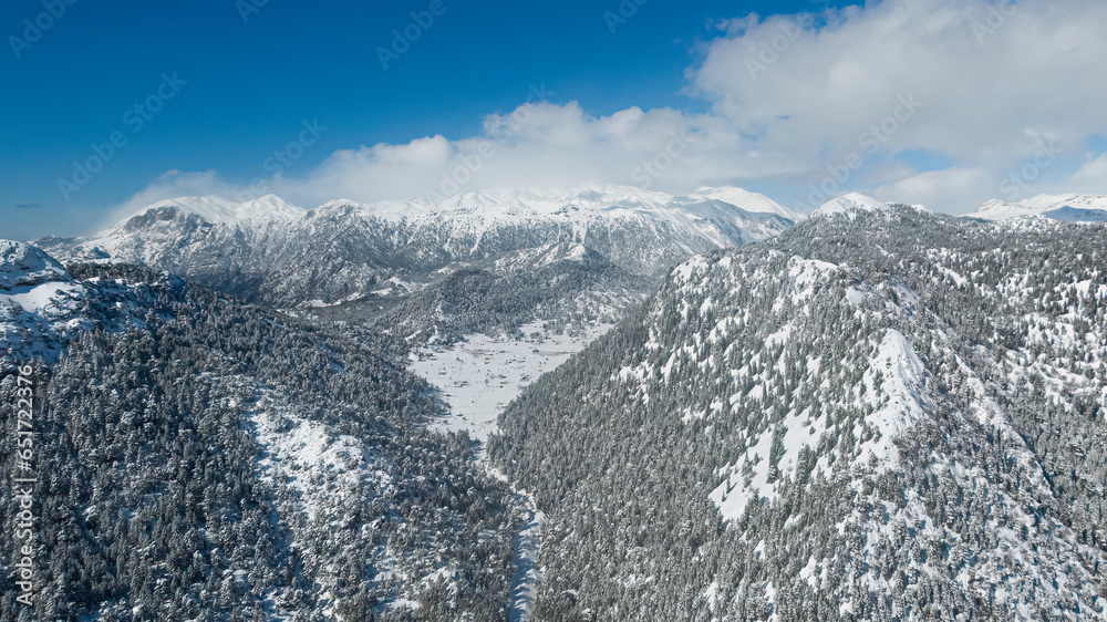 Obraz premium Winter snow and forest landscape.