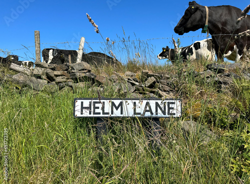 Helm road sign, fixed to a broken dry stone wall, and above, grazing cows in a field, set against a blue sky in, Sowerby Bridge, UK photo