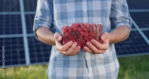 Manr holds a plastic container with fresh raspberries. The panels of the solar power plant can be seen in the background photo