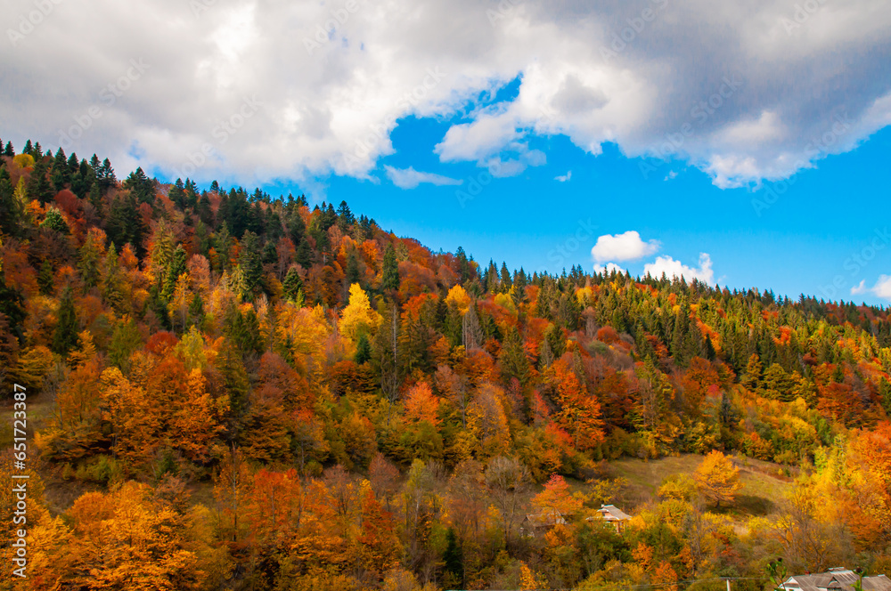 Bright sunny autumn landscape against the blue sky with white clouds
