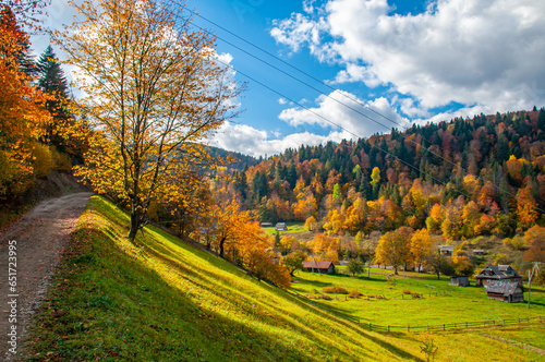 A slope with trees and a green plain at the foot of the mountain. Autumn sunny landscape