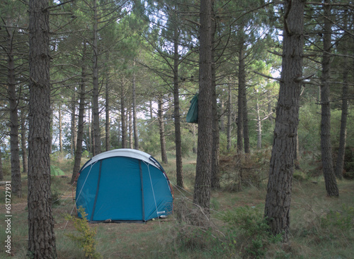 Forest Camping: Blue Tent and Hanging Trash Bag horizontal