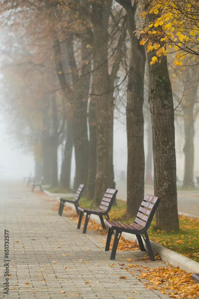 Fototapeta premium Autumn park with wooden benches in foggy morning