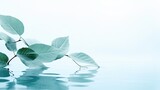isolated leaves reflections on calm water with white background and copy space