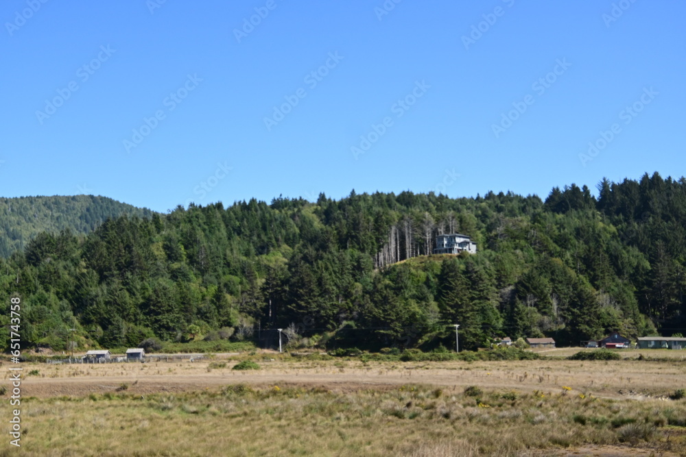 landscape with trees and mountains landscape with trees and mountains