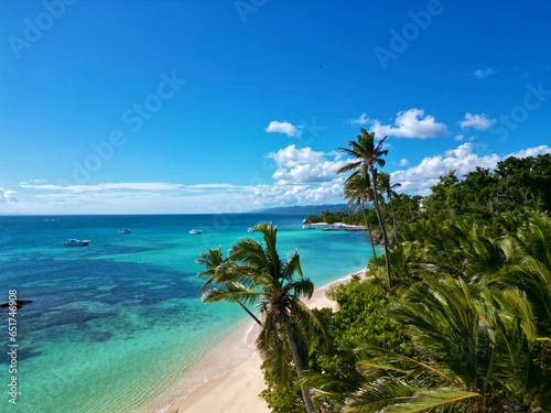 Fototapeta Naklejka Na Ścianę i Meble -  Natur aus Strand, Palmen und türkisem Meer auf der Bacardi Insel