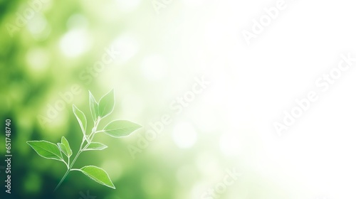 leaf for nature on blurred background with