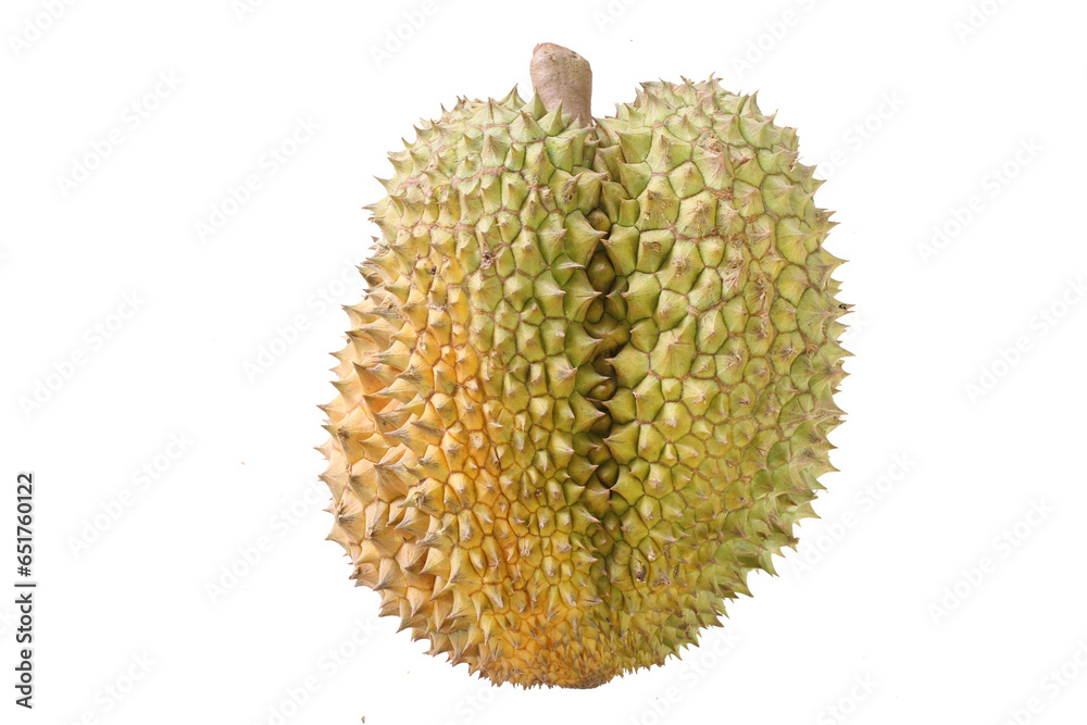 Durian is the most popular fruit in Thailand isolated on white background . Durian is the most popular fruit in Thailand isolated on white background .