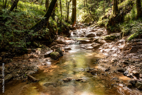 Beautiful river in the forest of Japan photo