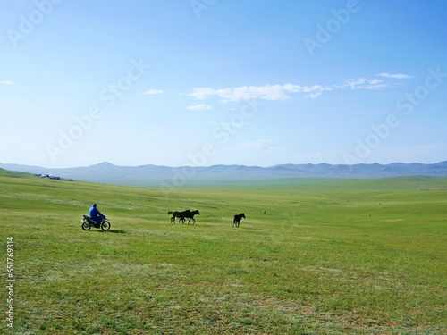 モンゴルの大草原で馬を追うバイク（9月上旬） © Traveller Tomo