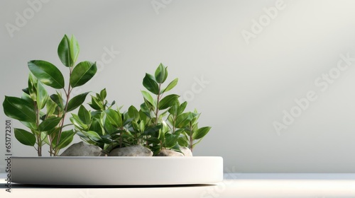 podium design for product display or product stand with leaf ornaments and minimalist background © GradPlanet
