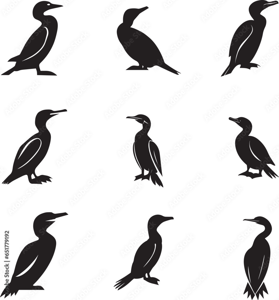 Fototapeta premium Cormorant Vector silhouette Illustration