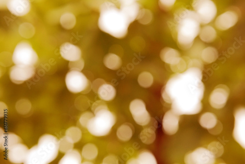 Soft golden christmas lights , festive bokeh background,nateral bokeh.