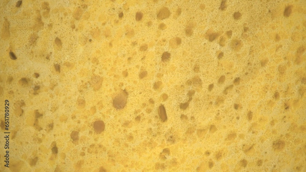 synthetic sponge, close-up, 3d render