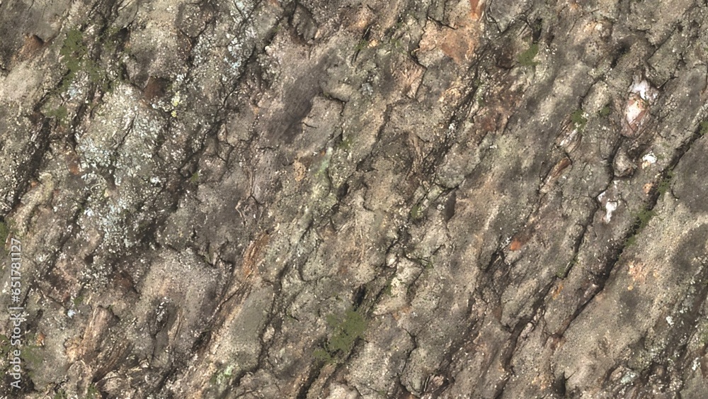 tree bark, abstract beautiful background, 3d render tree bark, abstract beautiful background, 3d render