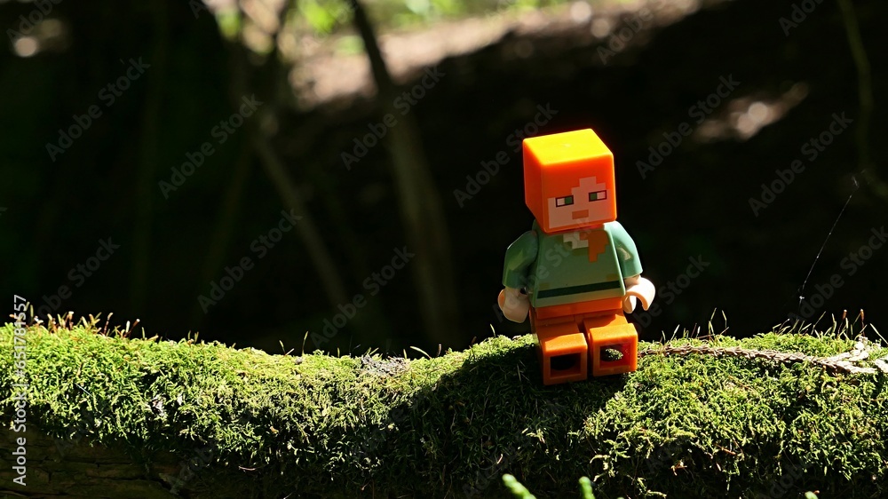 Naklejka premium LEGO Minecraft figure of main character Alex sitting on a branch of moss covered tree Thuja Orientalis, sunlit by afternoon spring sunshine.