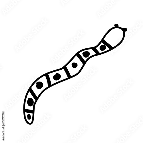 bacteria line icon